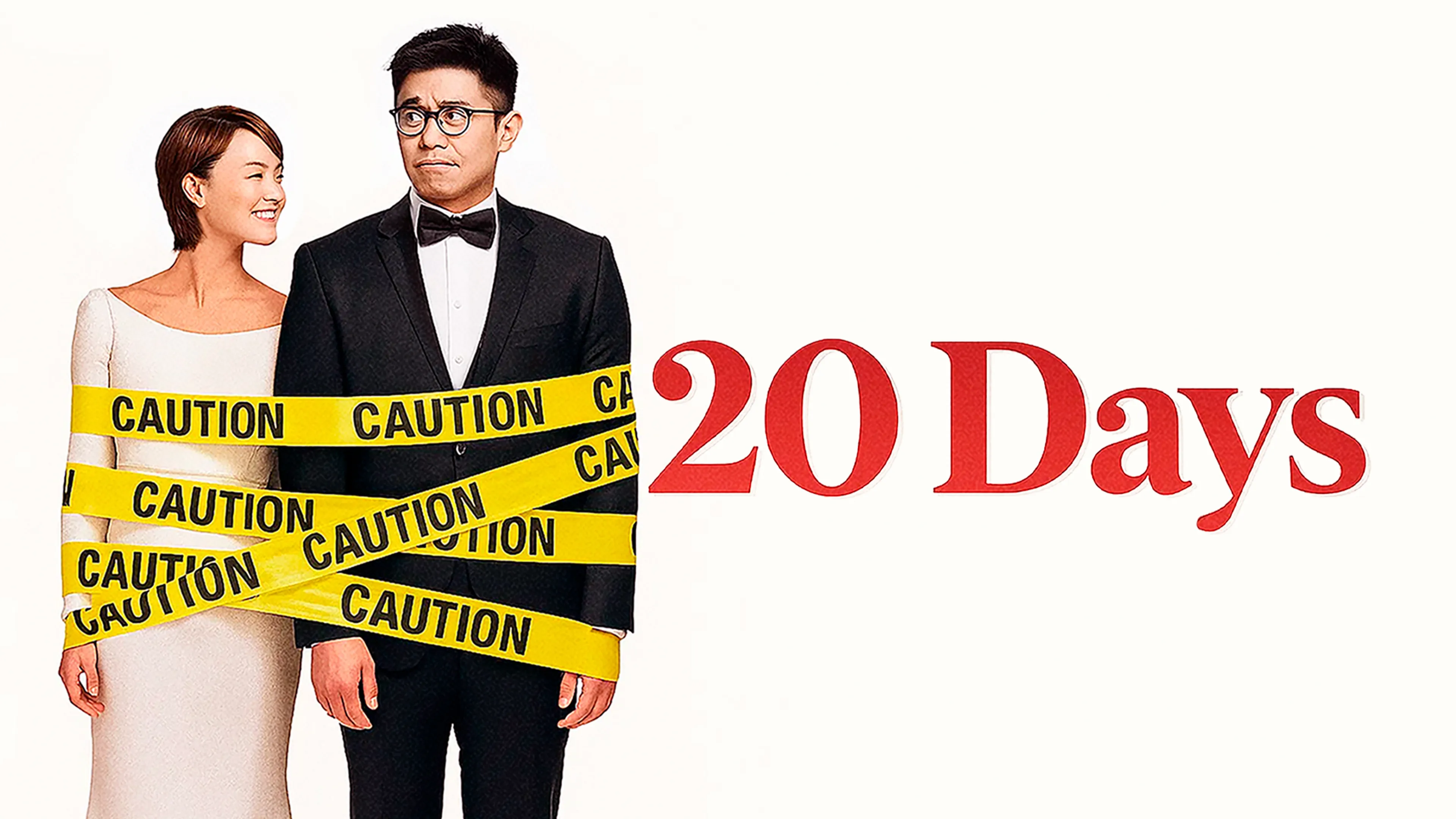 20 Days poster